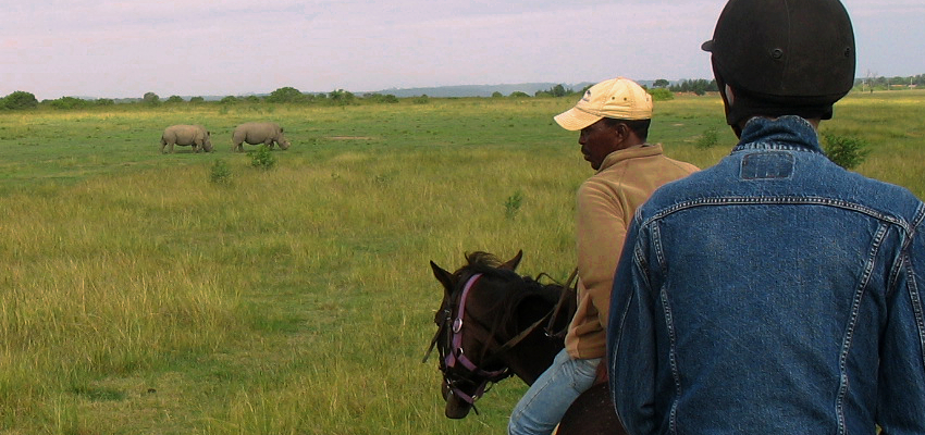 Game Park Horse Riding