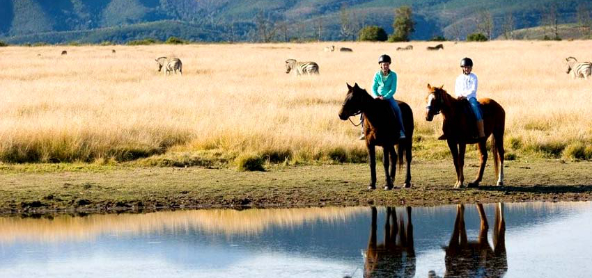 Horseback Safari