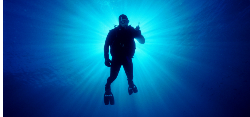 Plettenberg Bay Scuba Diving