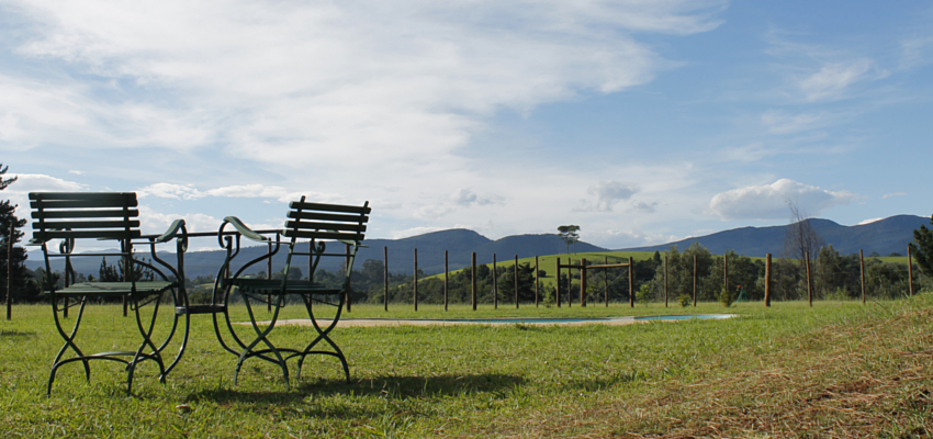 Garden Route teambuilding venue