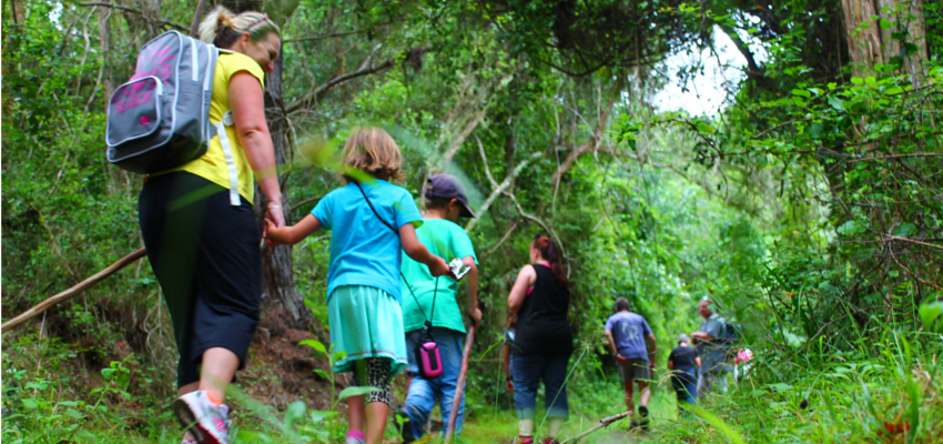 Outdoor teambuilding Garden Route