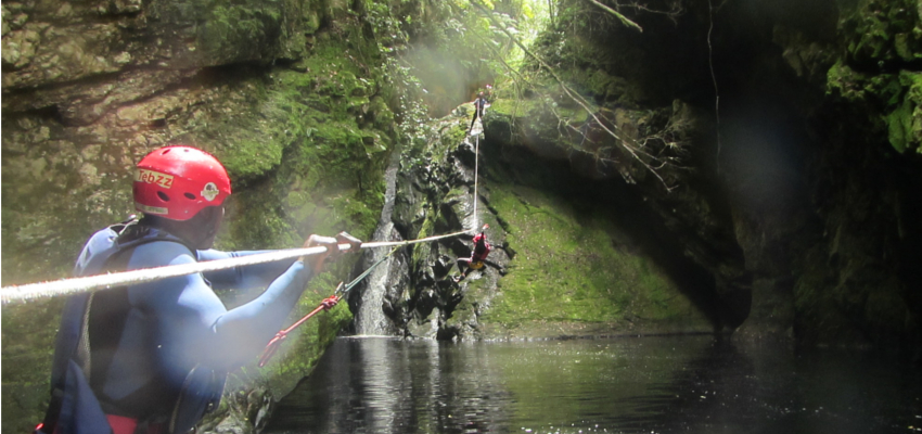 Great activity in Plettenberg Bay