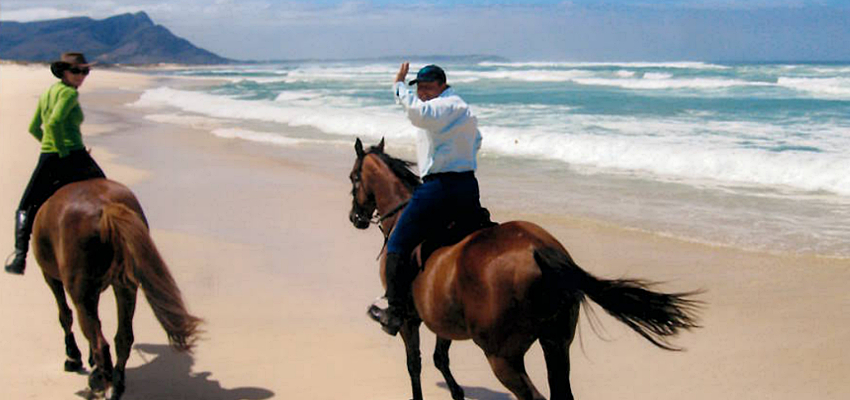 Horseriding on the beach Hermanus