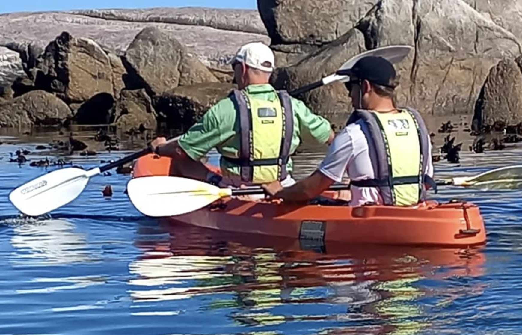 Up close and personal