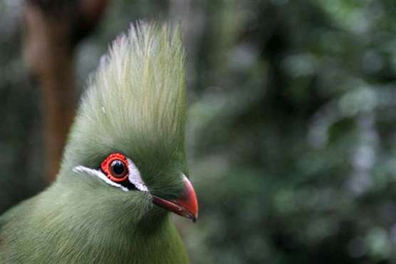 Bird Sanctuary