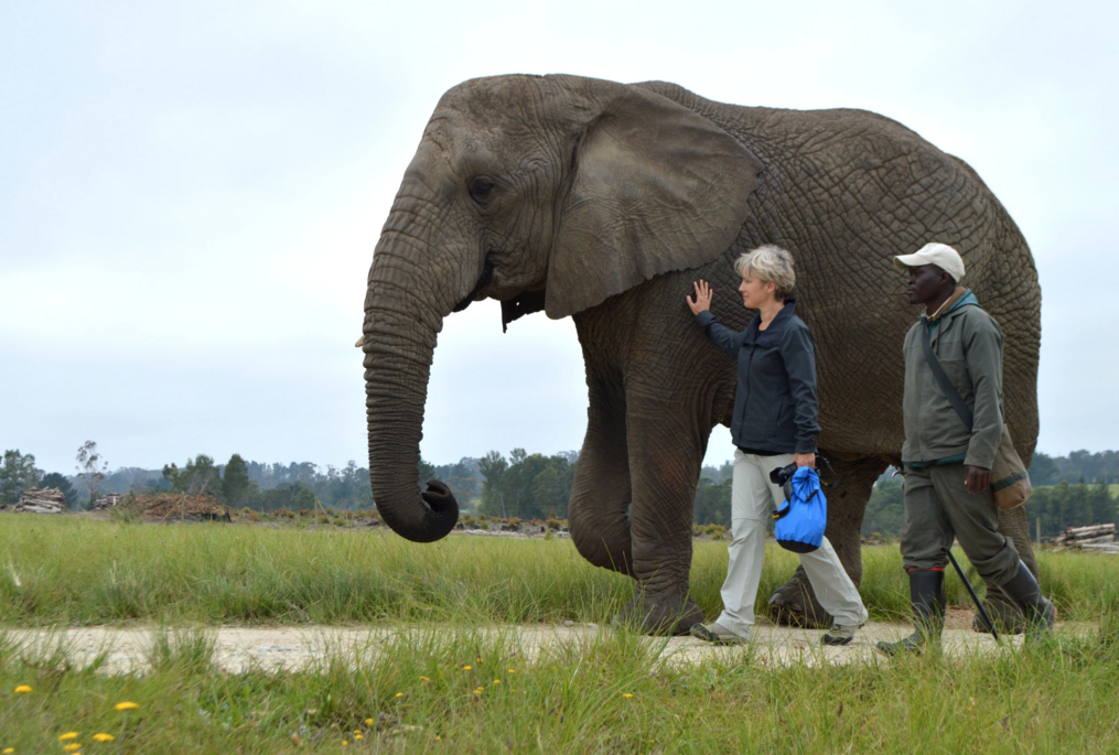 Exclusive Elephant Safaris