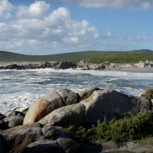West Coast National Park