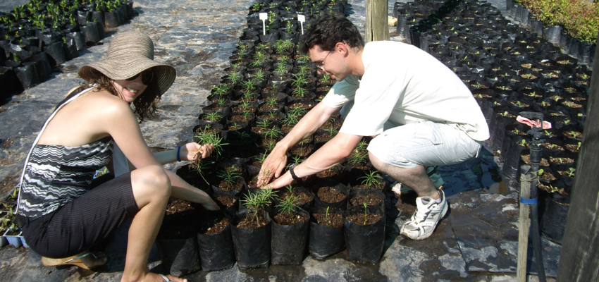 Environmental Volunteer Work South Africa