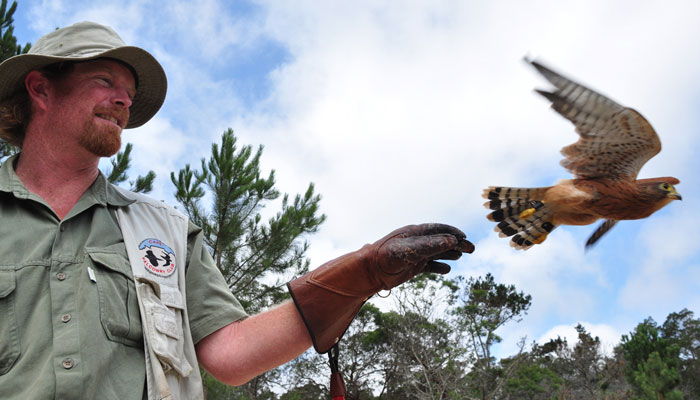 Garde Route Birds of Prey