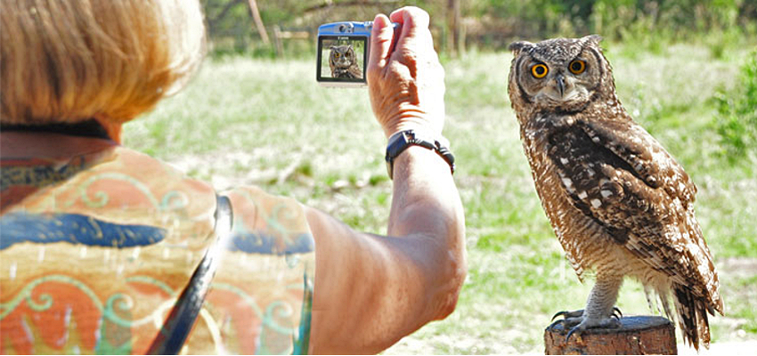 Raptor Sanctuary Plettenberg Bay2