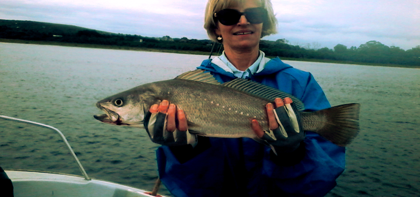 Plett River Fishing Charters