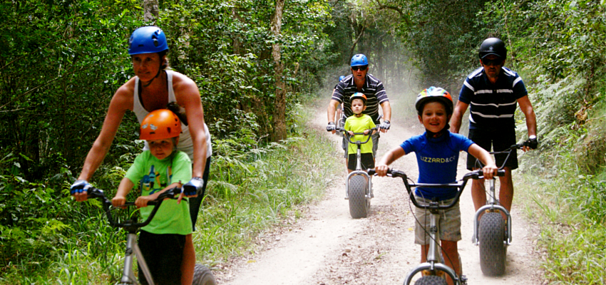 Push scooter tours Knysna