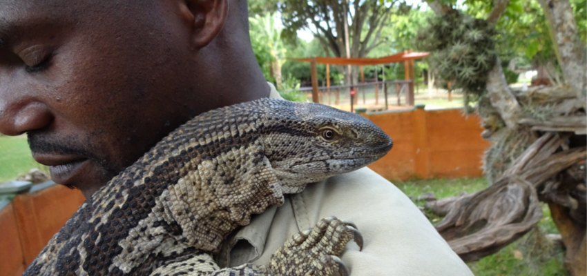 Reptile Park Plettenberg Bay