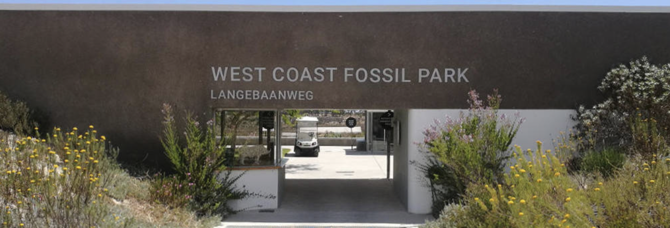 West Coast Fossil Park Banner