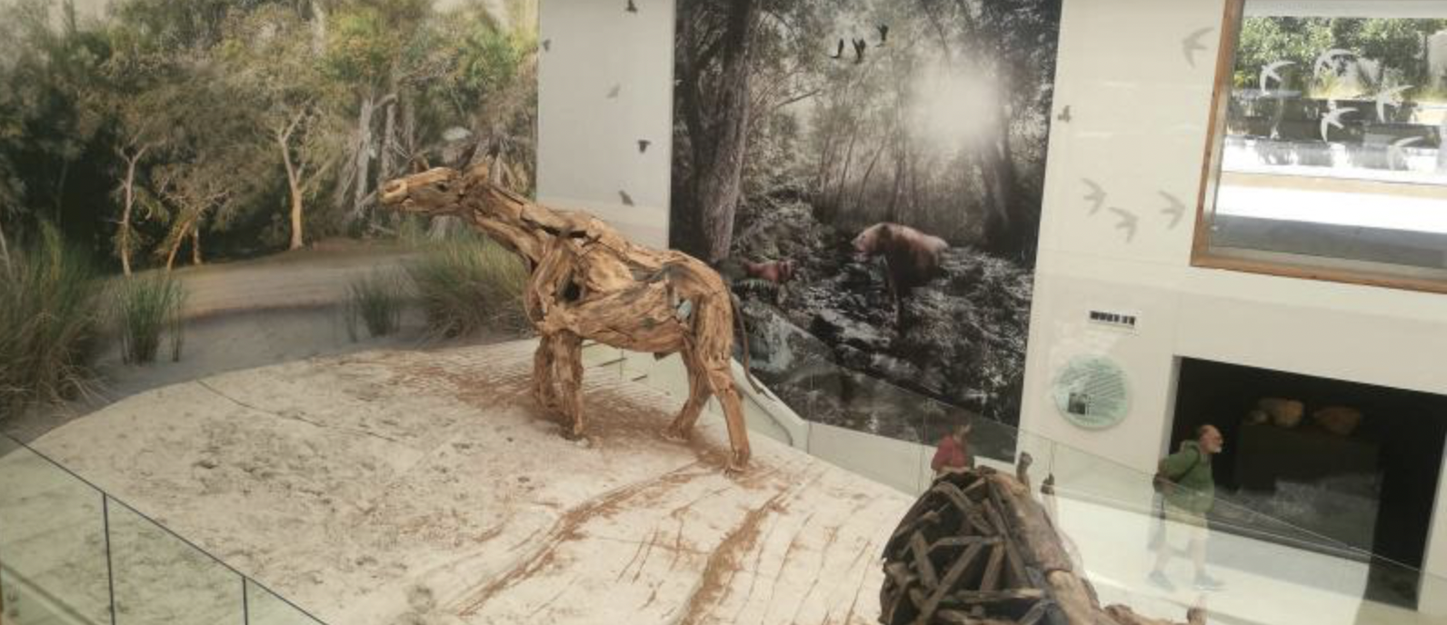 West Coast Fossil Park Display2