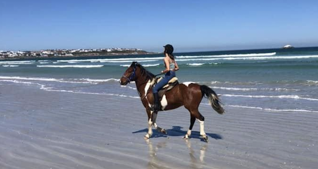 Beach horses